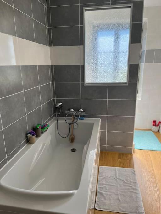 Charmant Appartement En Pierres Bourgoin-Jallieu Exterior foto